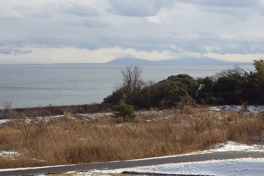学校からの風景